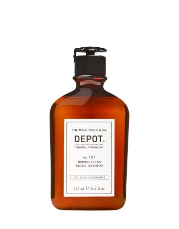 DEPOT N°101 NORMALIZING